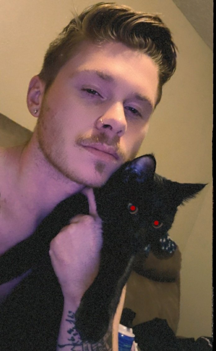 Bellcrayyy's tweet photo. Hot damn that kitty is cute https://t.co/uYE0fdvq2r