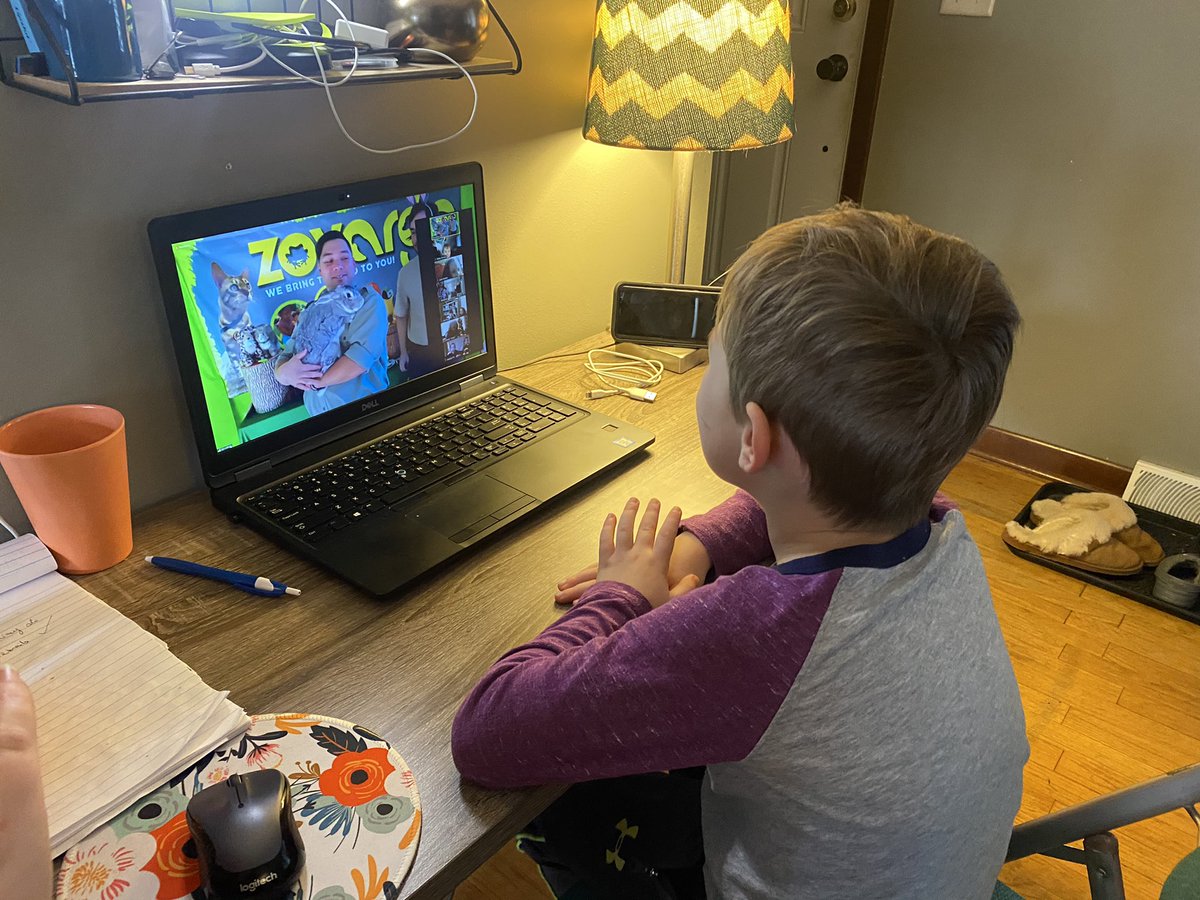 nick_ponton's tweet photo. I think the Zoom birthday party with @zovargo is a success.  Lots of friends and a lot of excitement about the animals we’re getting to learn about. https://t.co/c4NFn1Edh9