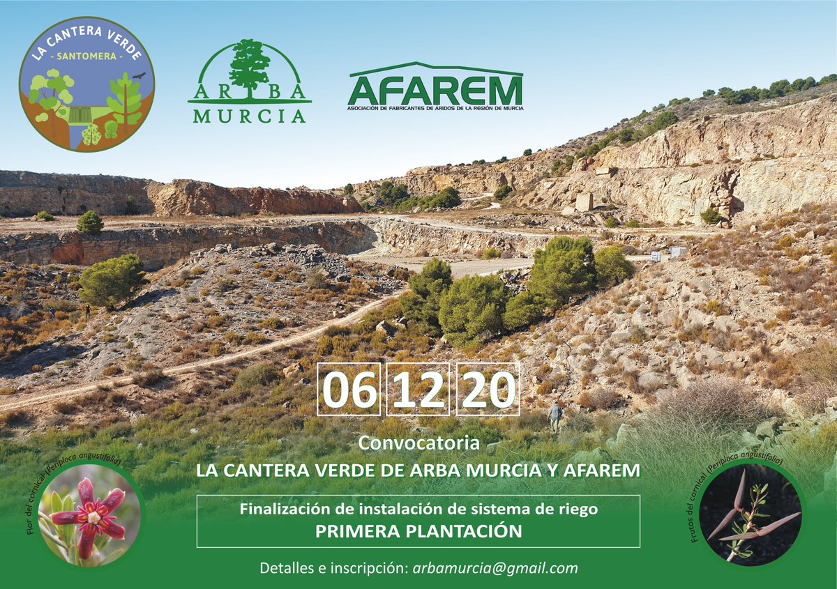 ARBAMurcia's tweet photo. Domingo 6 DICIEMBRE 2020 ARBA MURCIA y AFAREM realizarán la primera PLANTACIÓN del proyecto CANTERA VERDE, en SANTOMERA. Importante: ¡PLAZAS LIMITADAS! ¡Incríbete cuanto antes! https://t.co/xtidqLltUS

@afarem_aridos @AytoSantomera https://t.co/EM3OPYAQI0