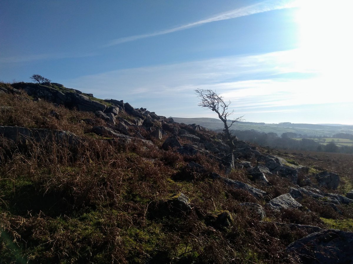 TavyJo's tweet photo. A beautiful day on Dartmoor.
#Dartmoor #PewTor
@dartmoornpa https://t.co/Tp5JAhTUG7
