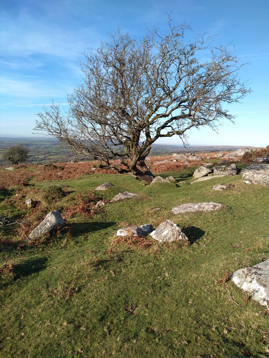 TavyJo's tweet photo. A beautiful day on Dartmoor.
#Dartmoor #PewTor
@dartmoornpa https://t.co/Tp5JAhTUG7