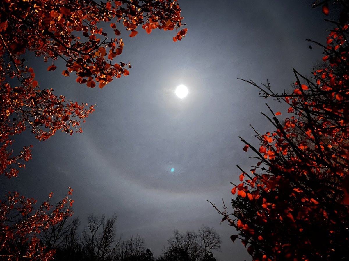 Chris Westbrook tweet media