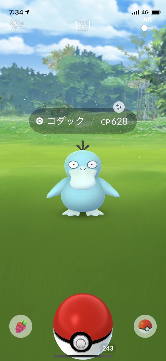 コダック色違い Twitter Search