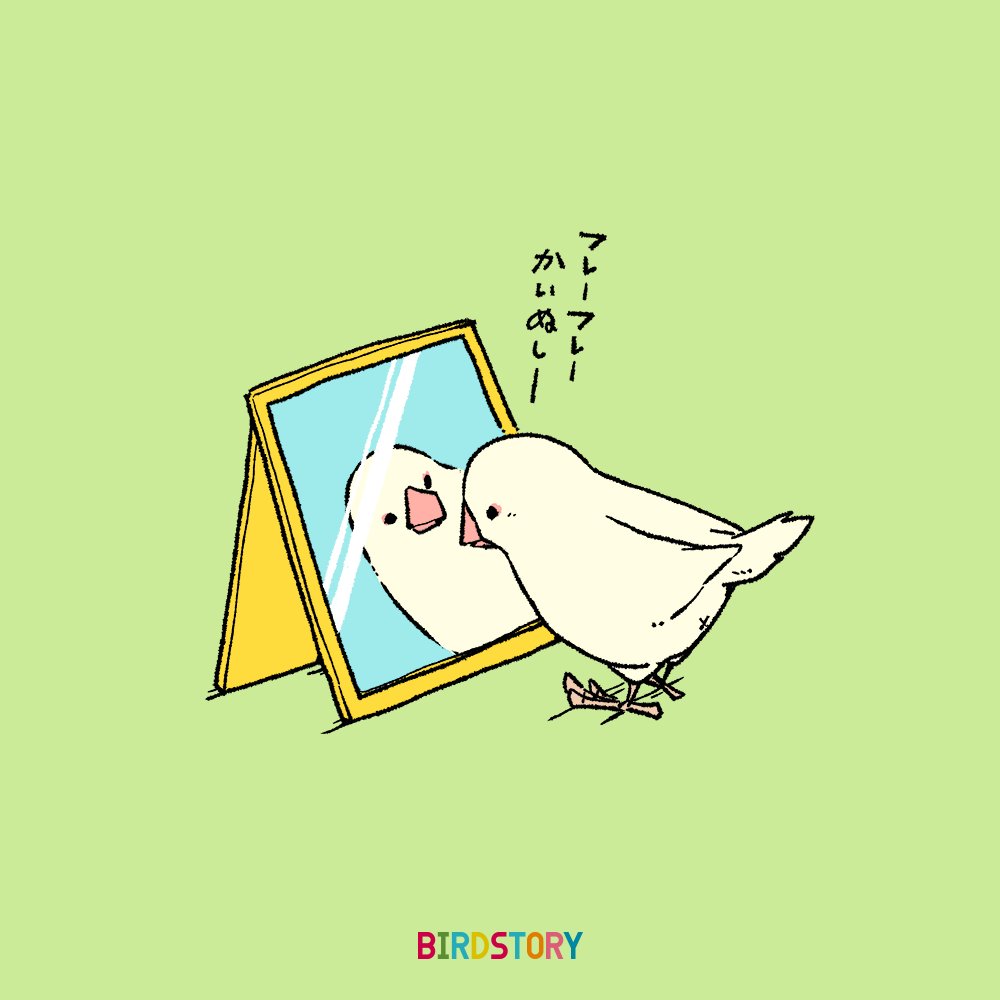 「おはようございます。
本日は11月30日、いいミラーの語呂合わせから、鏡の日との」|BIRDSTORYのイラスト