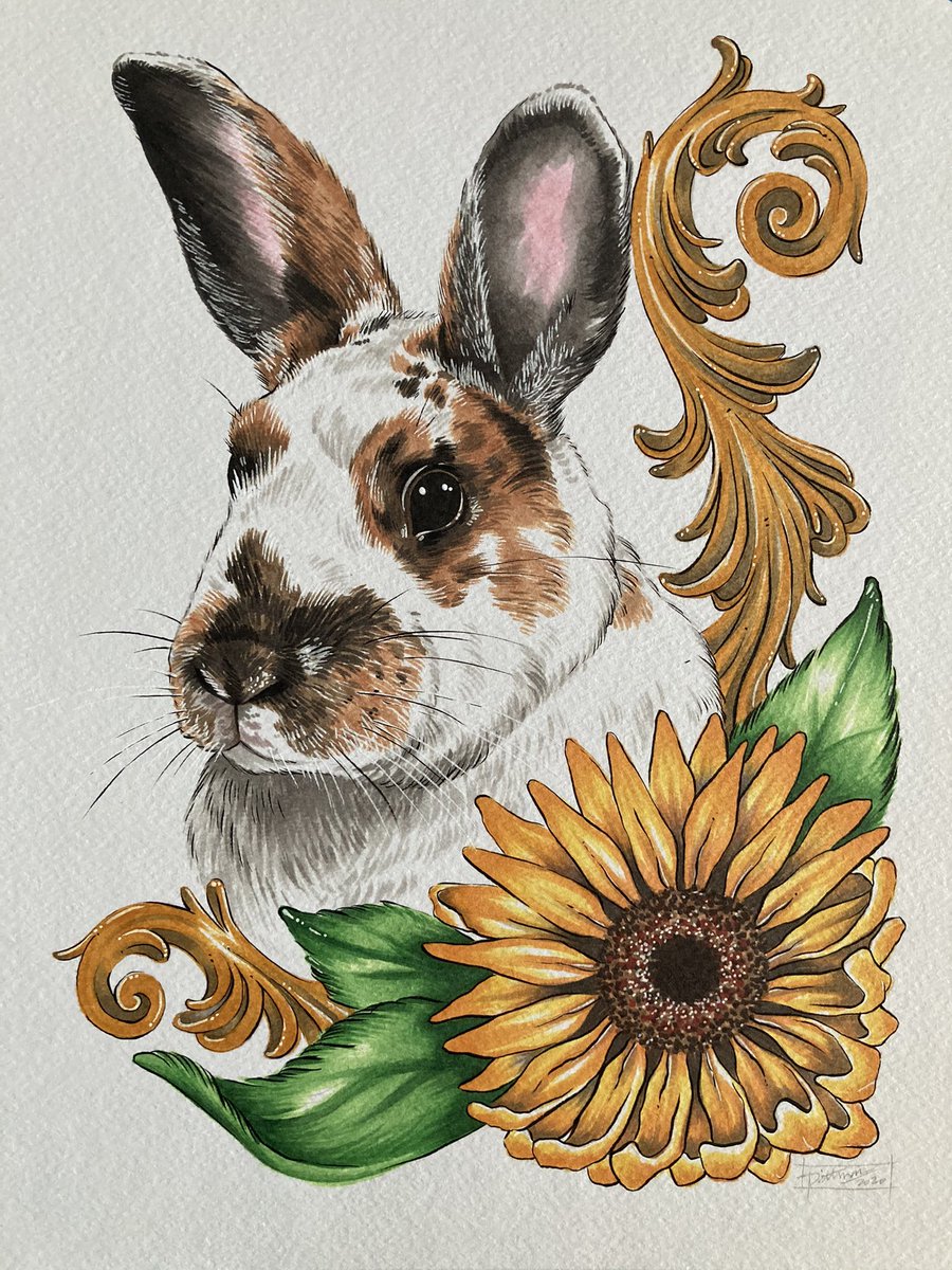 DezMPittman's tweet photo. One bunny portrait done! #drawing #illustrator #illustration #art #artwork #petportrait #bunny #rabbit #rabbitportrait #copicmarkers #artmarkers https://t.co/sfGunHBkfx