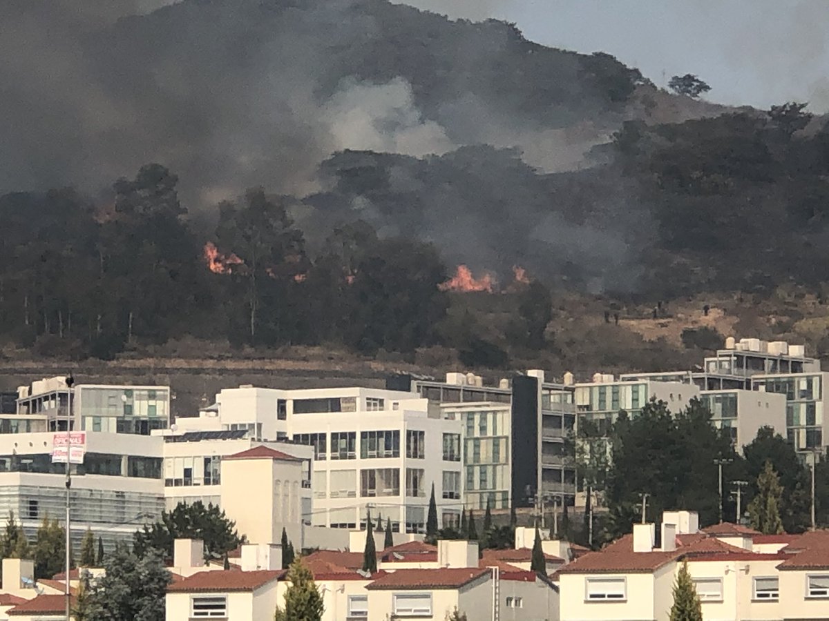 MarioBorda's tweet photo. Incendio forestal muy cerca a nuestra casa #AtizapanDeZaragoza https://t.co/cPq3yssmbG