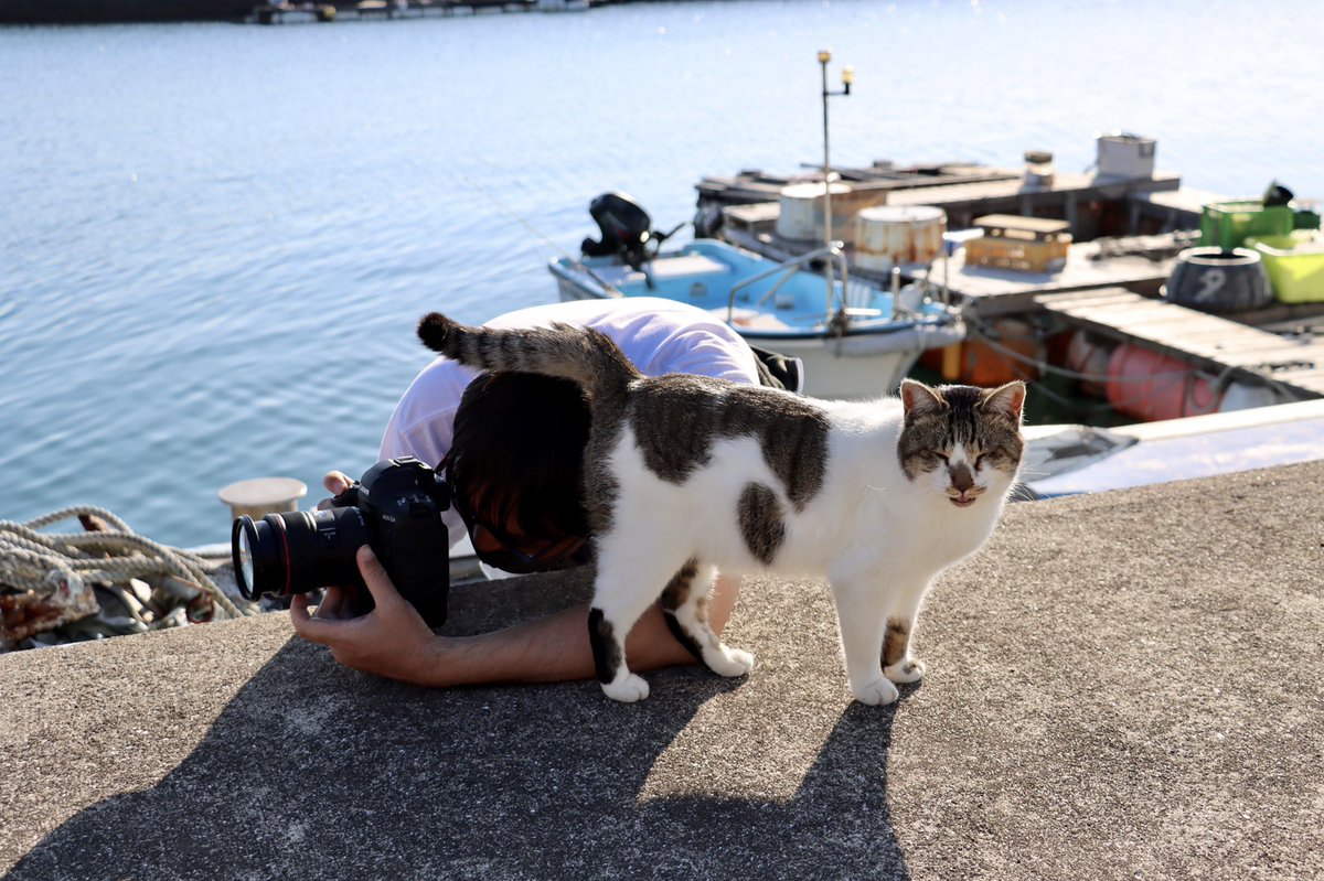 してやったり顔 してやったり顔