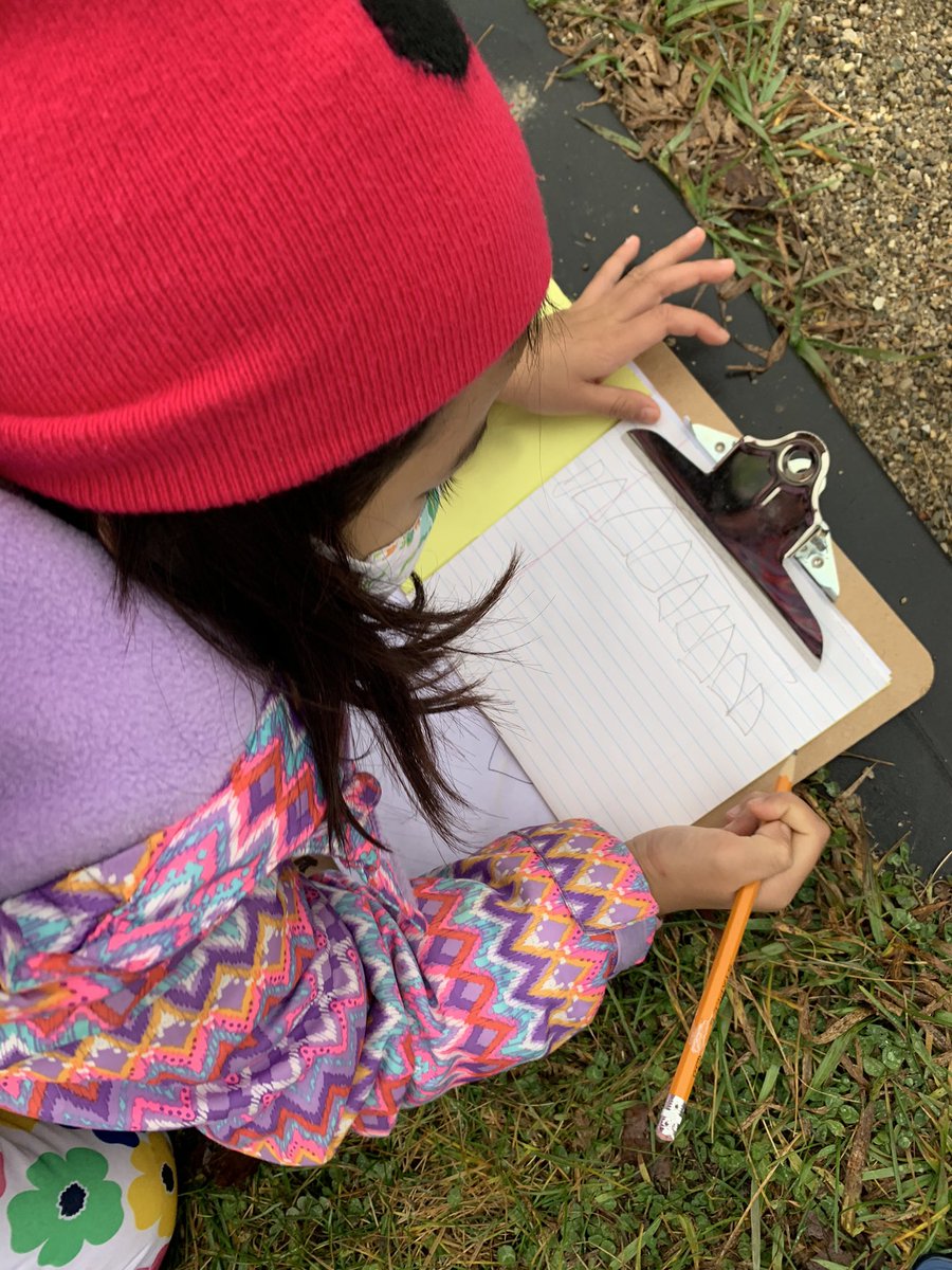 Kindergarten Room 14 tweet media