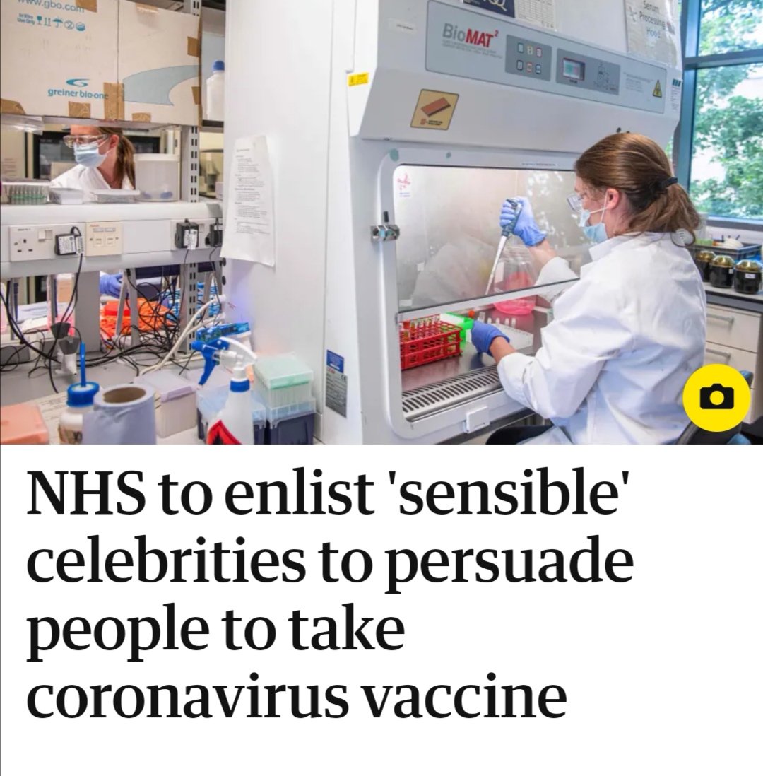 diligently put in my application