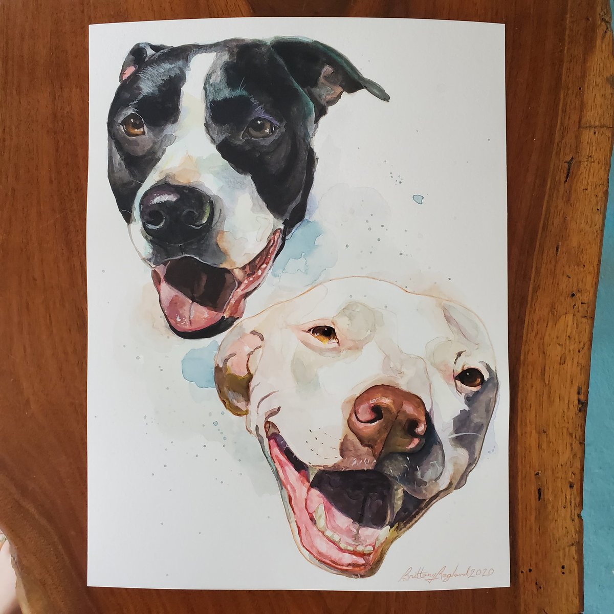 CopperRuby's tweet image. This is my first time painting dogs in watercolor, I usually work in oils. I&apos;m really happy with how it came out!
#artshare #artistsontwitter #watercolor #WorkFromHome #dogs
