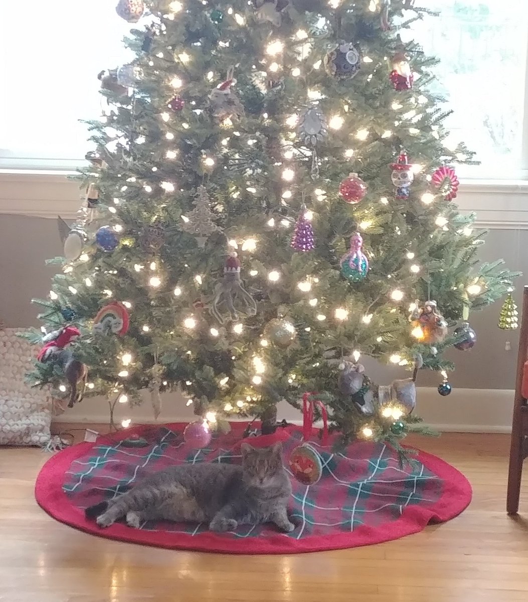 PaulPycraft's tweet image. Christmas update