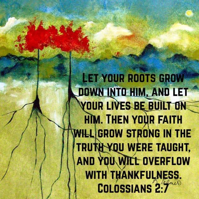 HeartOTXHeartMD's tweet image. #FirstSundayOfAdvent 

#Advent