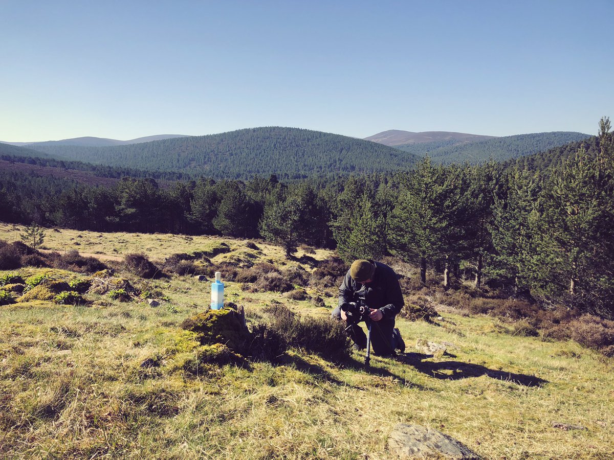 martin_g_reid's tweet photo. Behind the scenes:

Scapa Flow, Orkney with Scuttled Gin from @deer_distillery 2019

Cairngorms National Park with @KinraraDistil  2019

Fife Arms, Braemar with @Lochnessspirits 2020

Bloodline Spirits Distillery, Peebles with @GinRule 2020

#DiscoverScottishGin #ScottishGin https://t.co/AOqqvdM04t