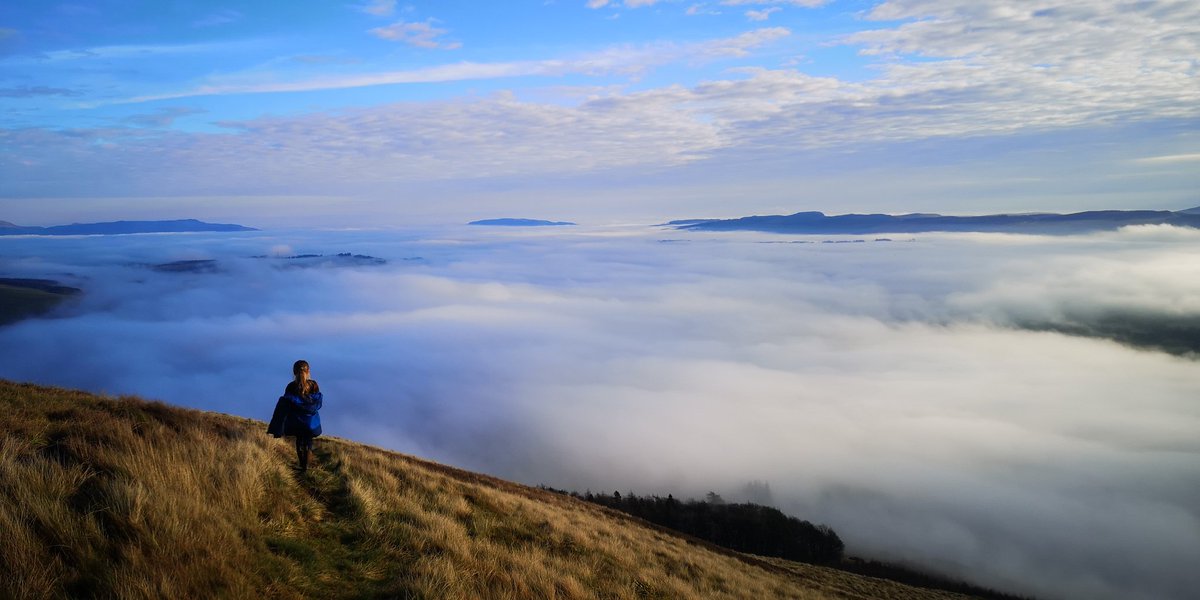 GarsideRich's tweet photo. More inversion therapy... https://t.co/Ix61CTvK7b