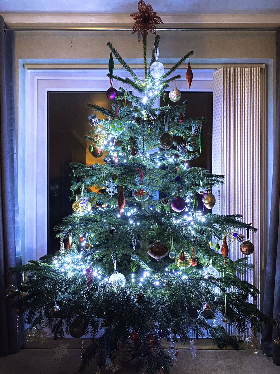 XanderFarthing's tweet photo. ☺️🎄💚 https://t.co/43ySjckO6v