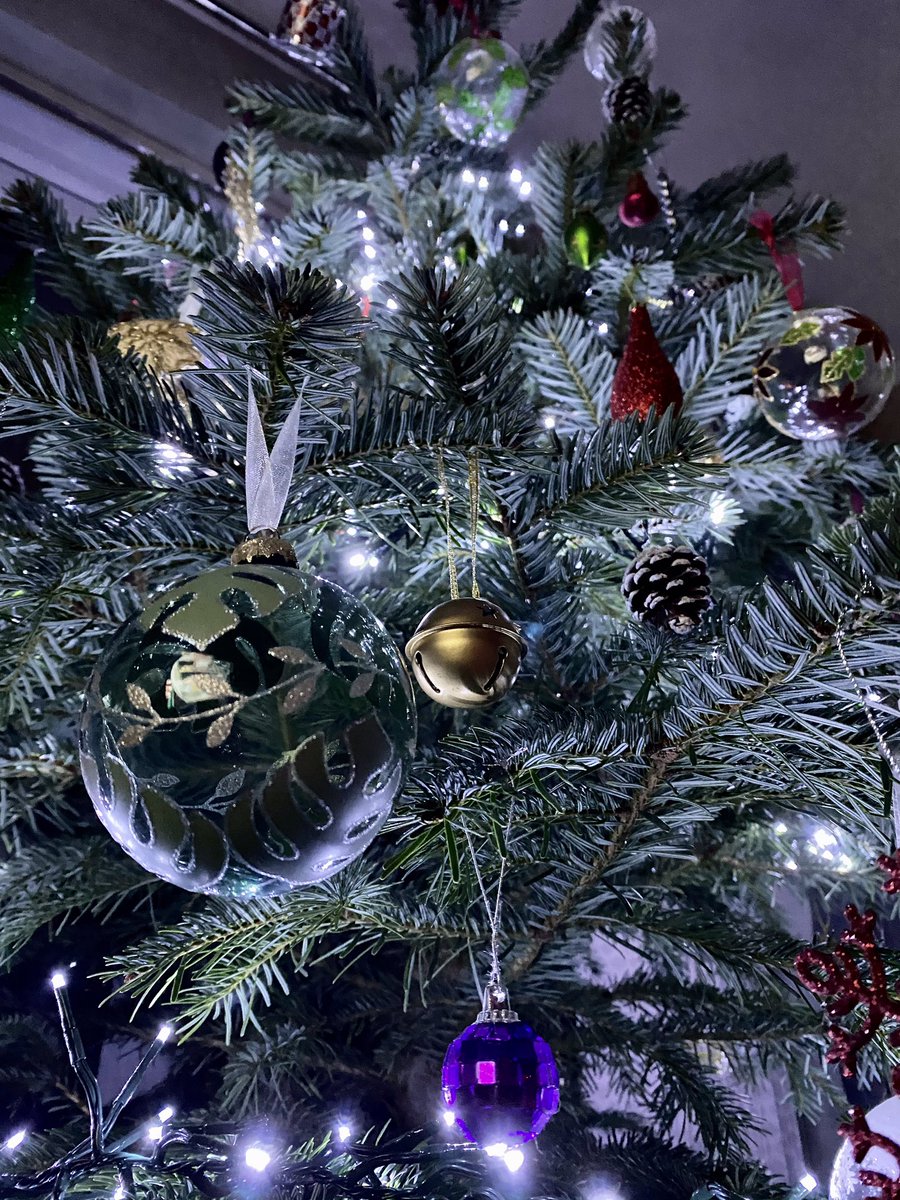 XanderFarthing's tweet photo. ☺️🎄💚 https://t.co/43ySjckO6v