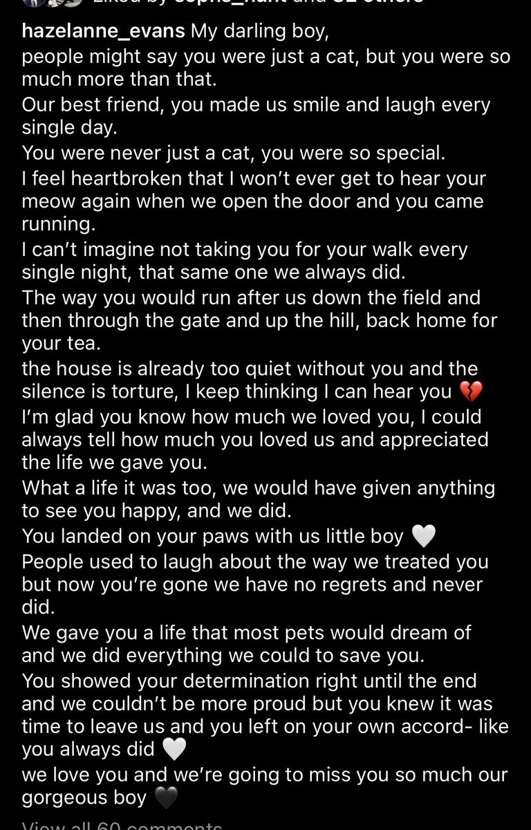 Hazel Evans tweet media