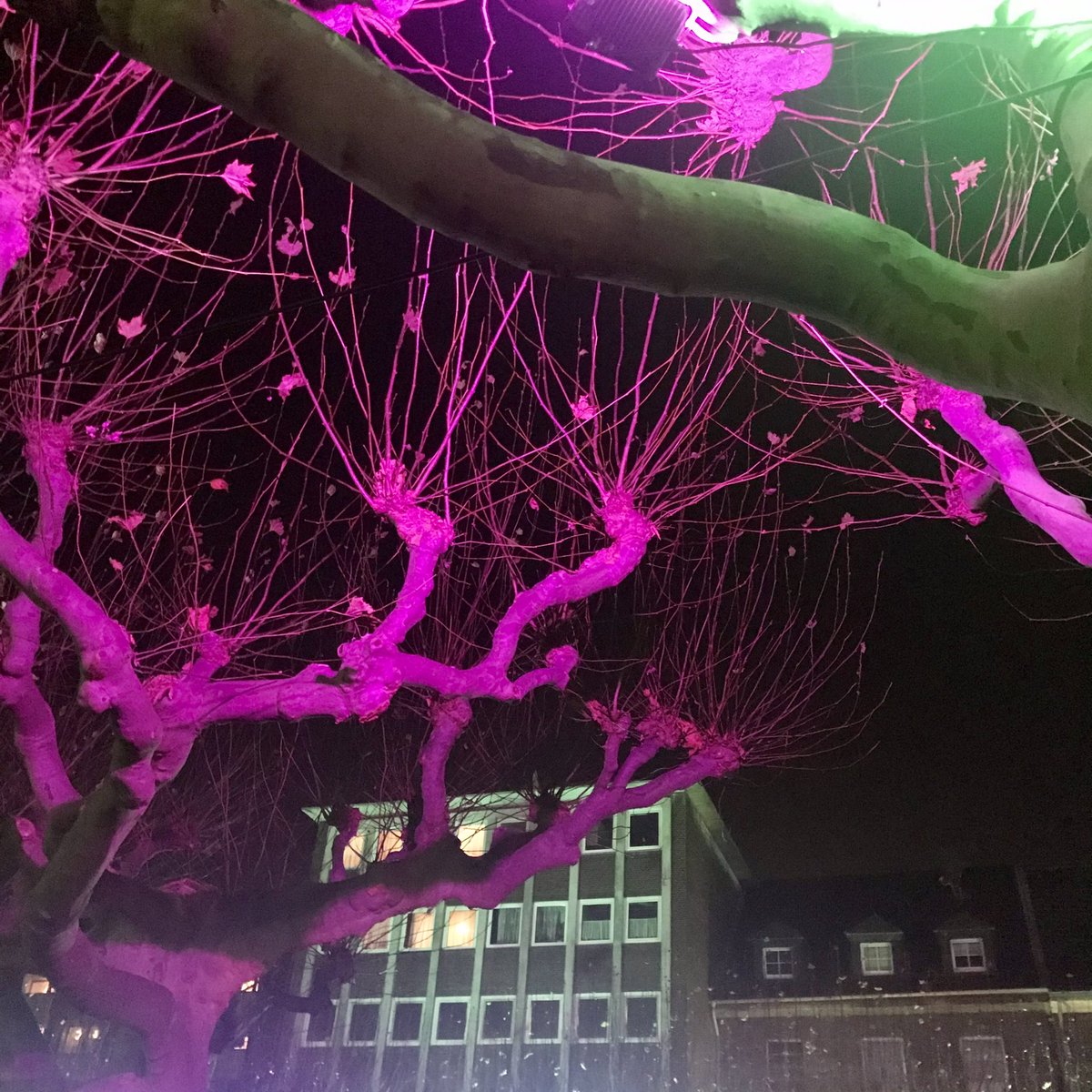 #Weihnachtsleuchten in #Oberhausen: #EinLichtfürOberhausen https://t.co/SpRvGeBVDV