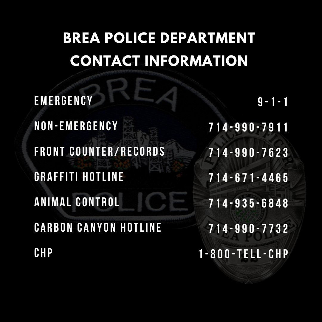 BreaPD's tweet photo. "Who you gonna call..."👻
Just a handy list of numbers for you to keep in case you need to call. 
📱📞
#BreaPD #helloisitmeyourelookingfor #callmemaybe #ifyouneedmecallme #jennyivegotyournumber #namethattune #wecankeepgoing https://t.co/ns2smXEfDg