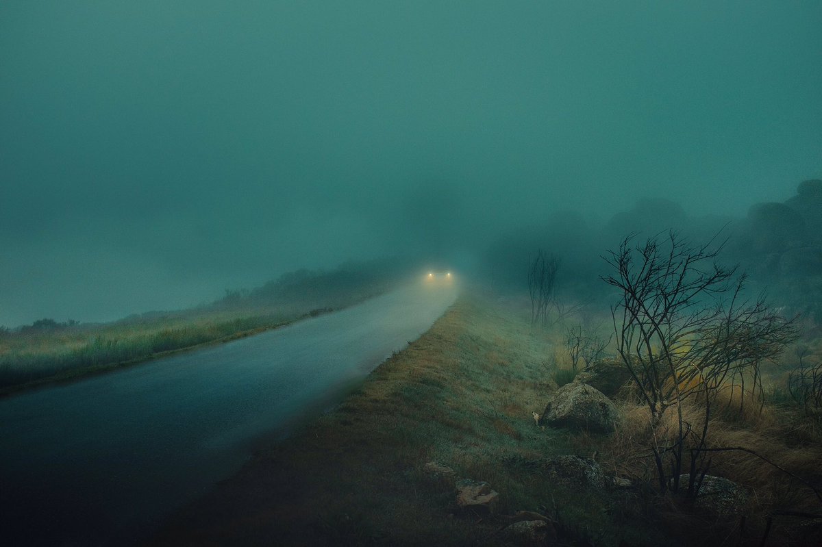 HenriPrestes's tweet photo. Photos from my series ‘They Drive by Night’ https://t.co/Dg81Pj601m