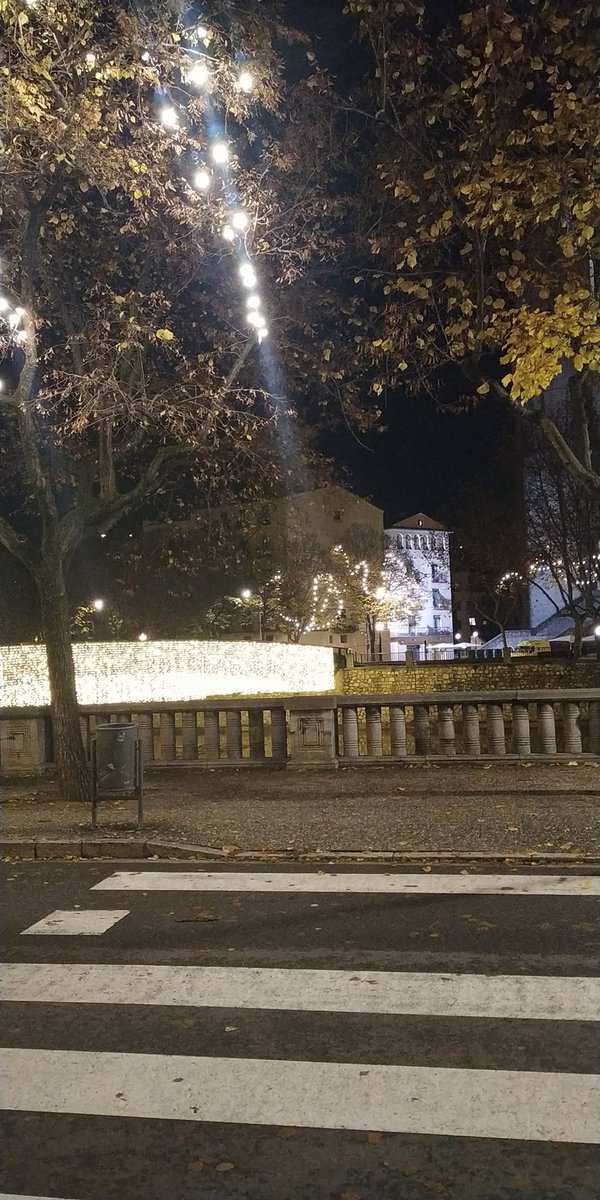Annacreus1's tweet photo. 22:12h tornant de treballar i les llums de Nadal il.luminant a qui? @girona_cat podríem redistribuir el cost d'aquesta estona de llum entre les persones que més ho necessiten, que diria que en aquests moments en són unes quantes. https://t.co/1d5dn514Bp
