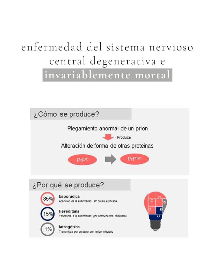 CJFundacion's tweet photo. La enfermedad de Creutzfeldt Jakob es una enfermedad del sistema nervioso central degenerativa e invariablemente mortal. #minsalchile #ECJ #SomosMásDeUnoEnUnMillon #chile https://t.co/EqHnvXCH9k