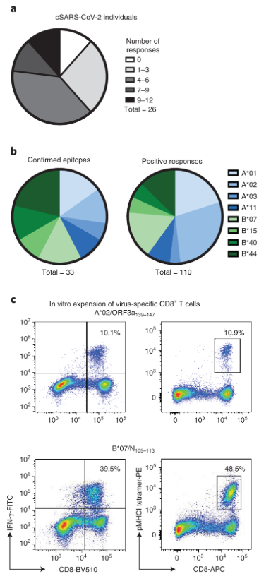 mmw_lmw's tweet photo. #SARSCoV2_specific #CD8_T_cells | Pre-existing and induced | Christoph Neumann-Haefelin @UniFreiburg @NatureMedicine https://t.co/MAE385CjWI | #2020_ReCapNov https://t.co/SivXr0hNl0