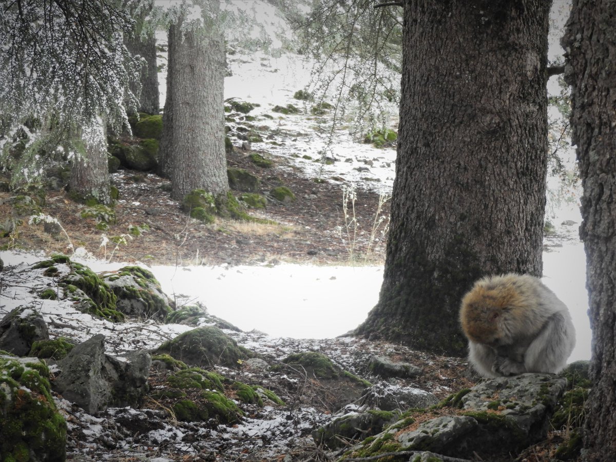poor Anna was not enjoying the cold