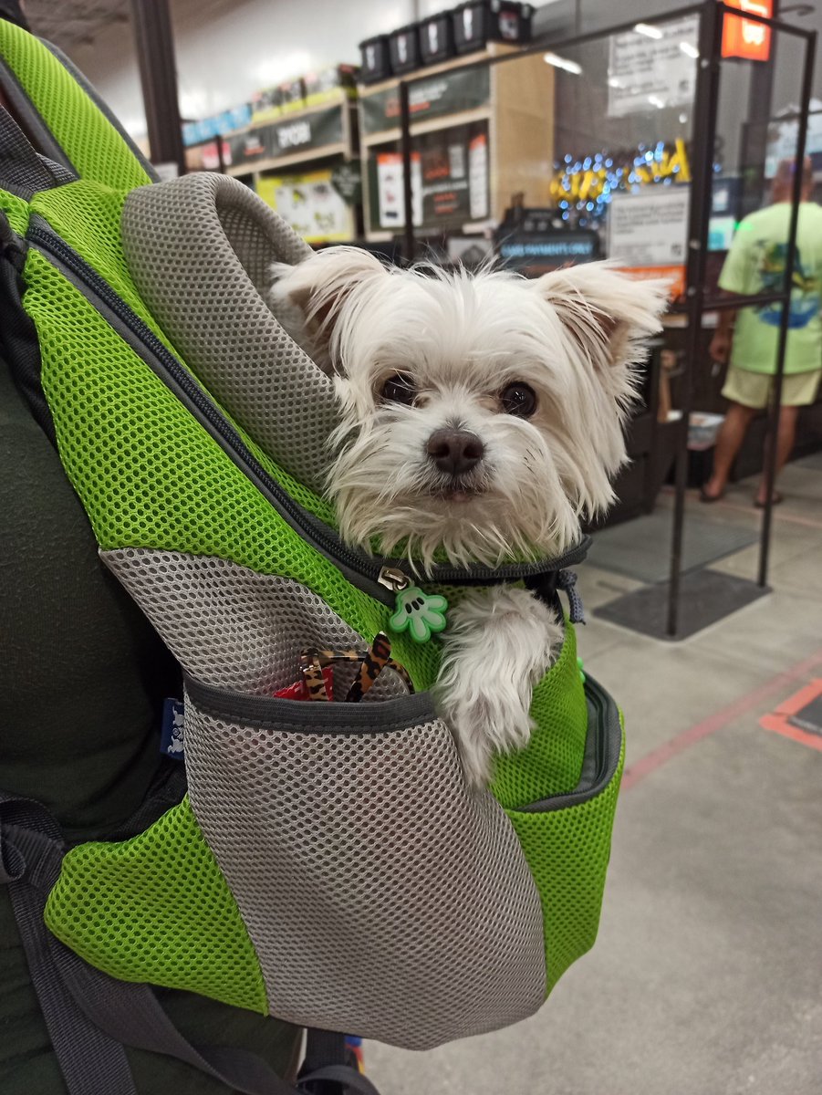 El único bebé que deseo tener