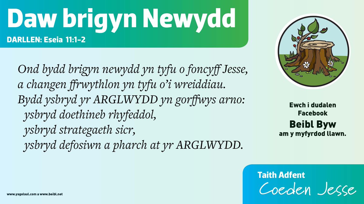 beibl_net tweet media