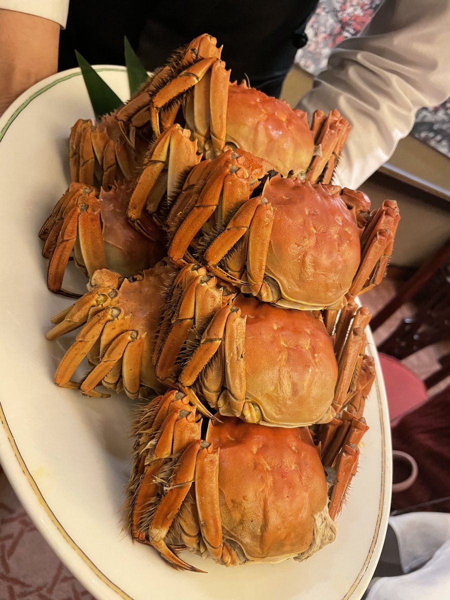 やしろあずき 上海蟹めちゃくちゃ美味しかったし脳が蟹になった