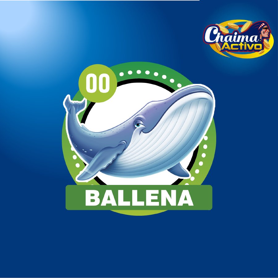 chaimaactivo's tweet image. Chaima Activo
29/11/2020
06:00 PM
00 - BALLENA
#29Nov #PagamosmasChaima Activo
