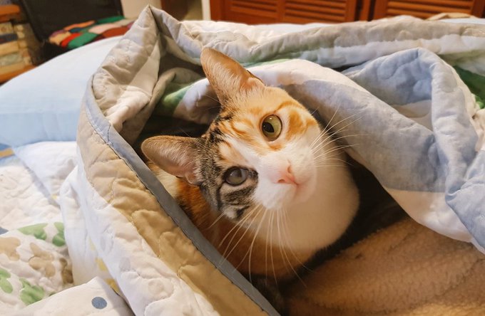 Finally home, it feels so gud 😻 https://t.co/BZVythkmVo