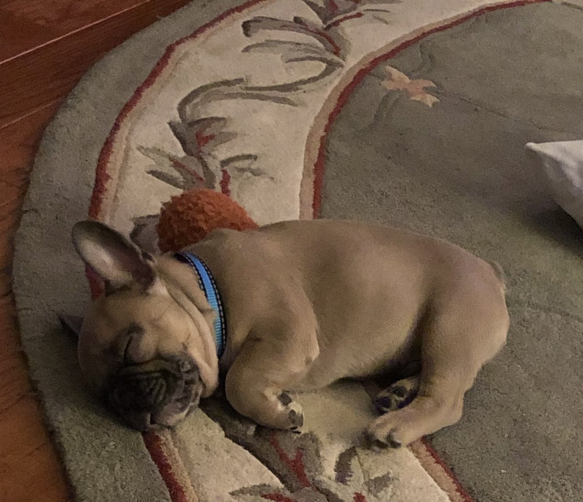 cjsc's tweet image. #frenchlife #hamhocks