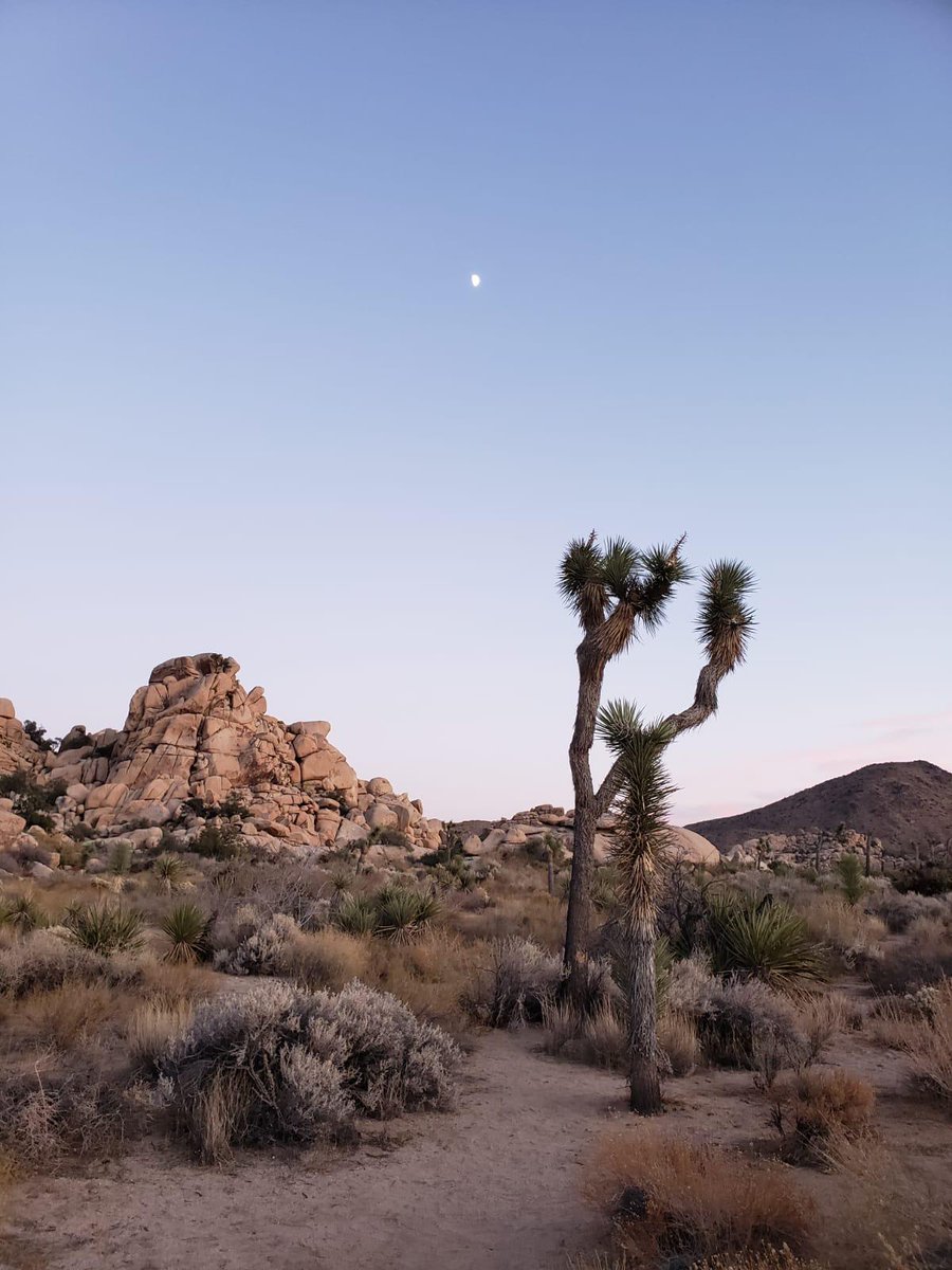 tinyocean_rving's tweet photo. The second #hike of the day in @JoshuaTreeNPS was #BakerDam! Super easy hike with lots to see and explore. The girls loved it and we too! π #RVTrip11 #RVingUS https://t.co/ZgQvVZyp55