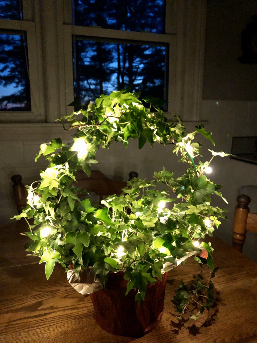 kareConnection's tweet image. It’s beginning to look a lot like Christmas #HolidaySeason #Christmas2020 #photography #light