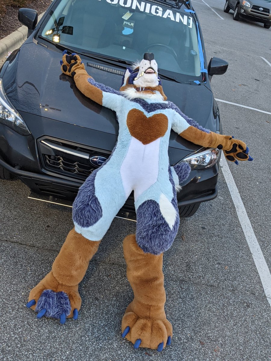 TaurineYeen's tweet photo. OH MY GOD I HIT A DOG https://t.co/fukOrcHCCo