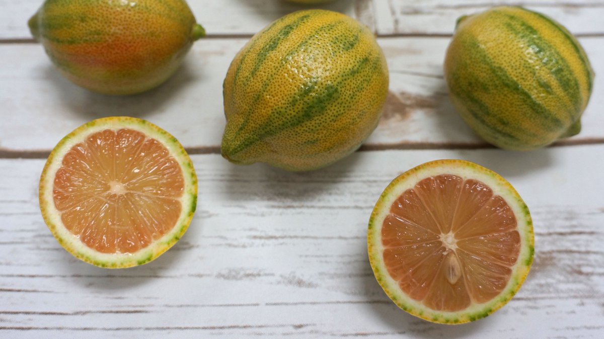 MelissasProduce's tweet photo. When life gives you PINK lemons...what would you make with them? The Variegated Pink Lemons have a traditional lemon flavor and may be slightly acidic and a bit more floral in flavor. How would you use these lemons? https://t.co/pEPCK4qY5Z #MelissasProduce #PinkLemons https://t.co/qZBGM3RySi