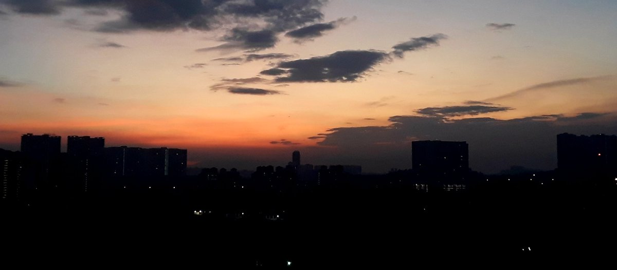 "닭 모가지를 비틀어도 새벽은 온다."
오늘도 힘내자.