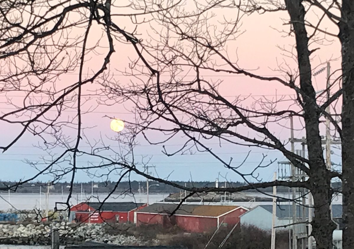 Perfect ombré sky tonight