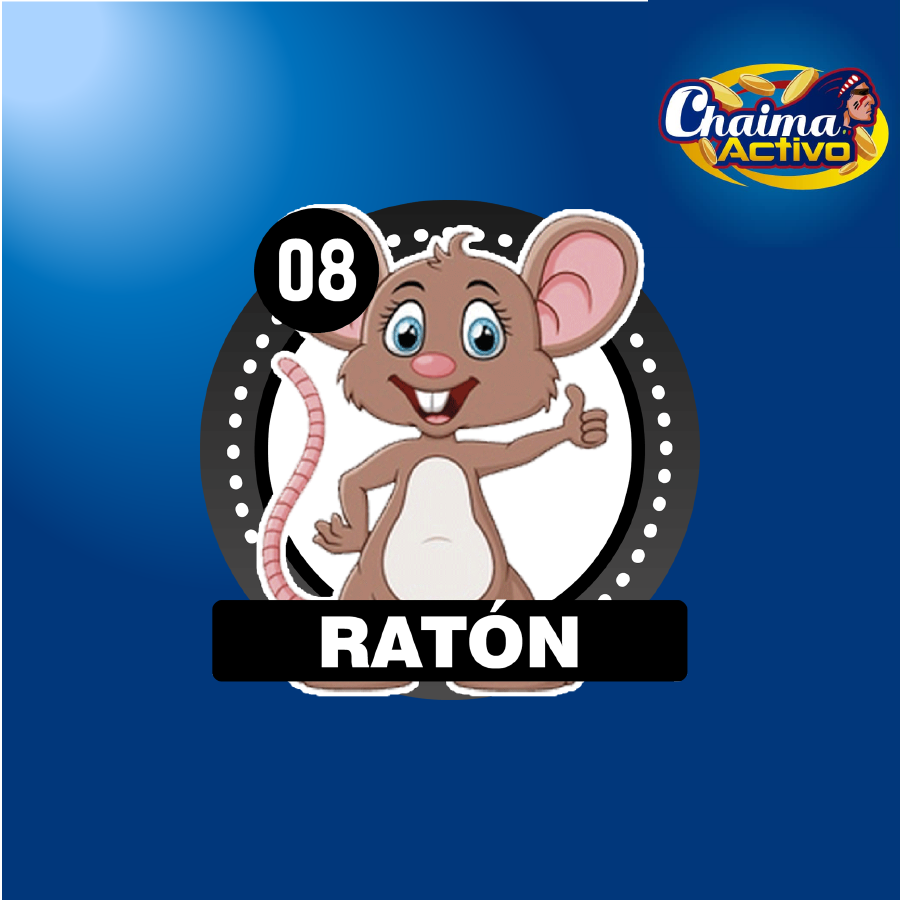 chaimaactivo's tweet image. Chaima Activo
29/11/2020
07:00 PM
08 - RATON
#29Nov #PagamosmasChaima Activo