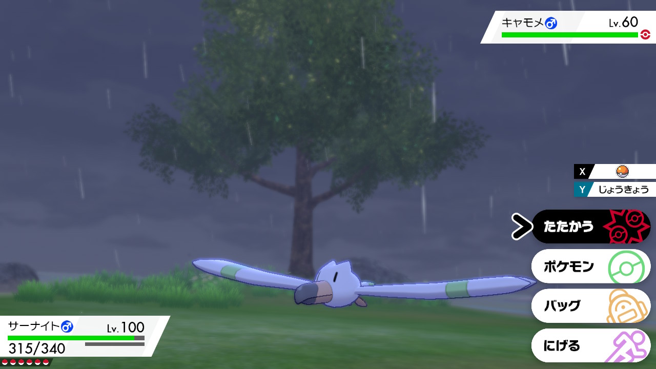 のうみそ 色違いのキャモメをゲット ポケモン剣盾 Nintendoswitch T Co Tokbjsjrcs Twitter