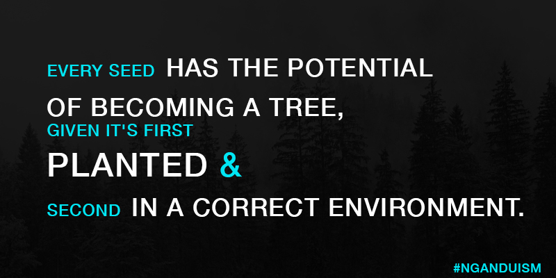 Mr_PNM's tweet photo. Every seed has the potential of becoming a tree, given it's first planted and second in a correct environment. #MondayMotivation https://t.co/lb9ZnU8grD