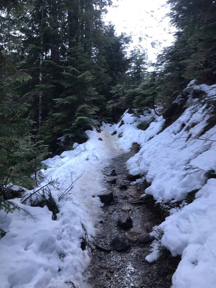 PNW425's tweet photo. Burning those calories off today. https://t.co/85UZWs7Irk