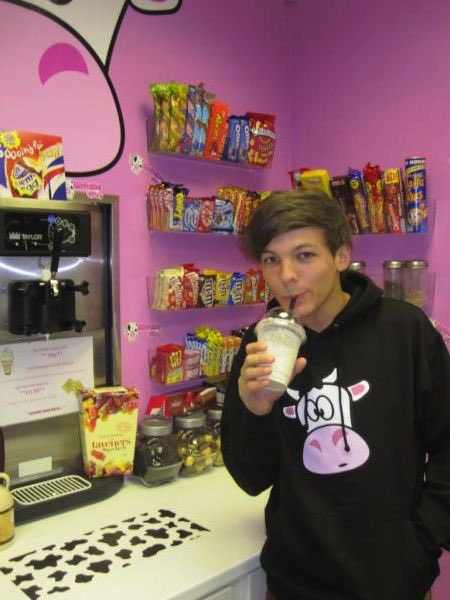 louis tomlinson as corgis !! a VERY important thread