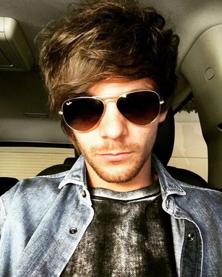 louis tomlinson as corgis !! a VERY important thread