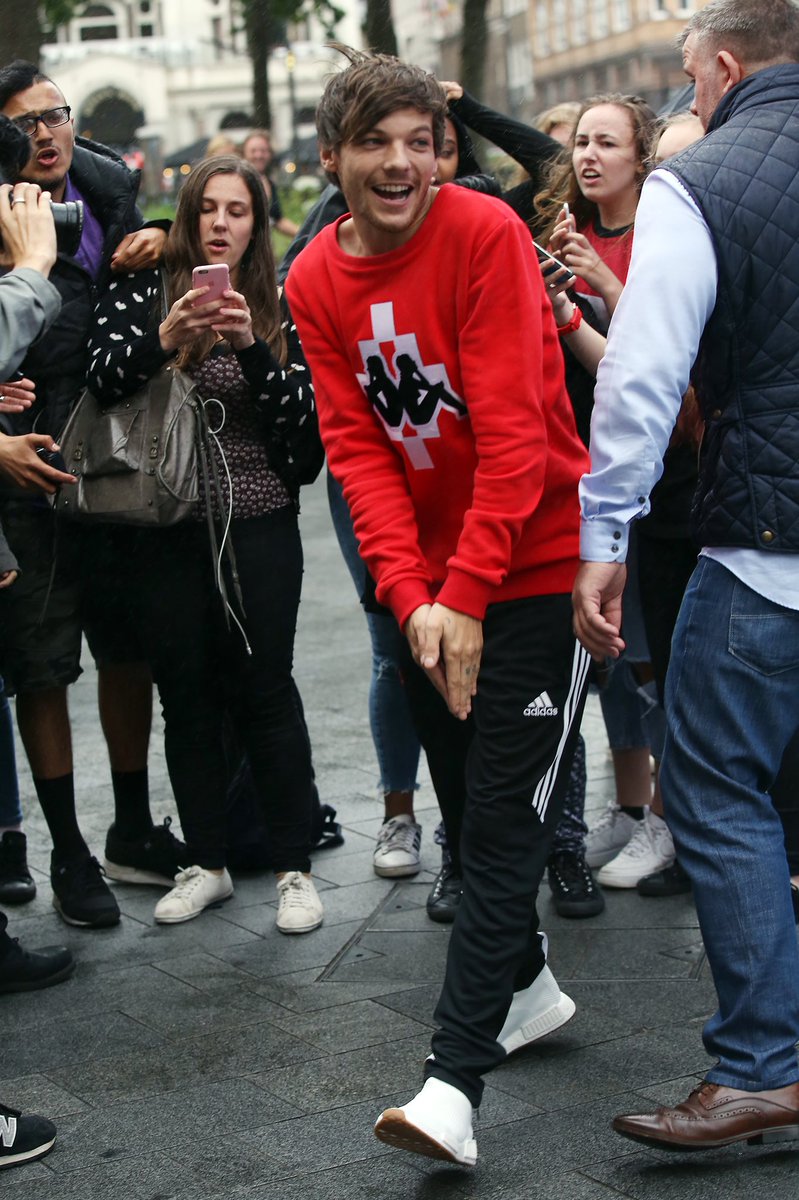 louis tomlinson as corgis !! a VERY important thread