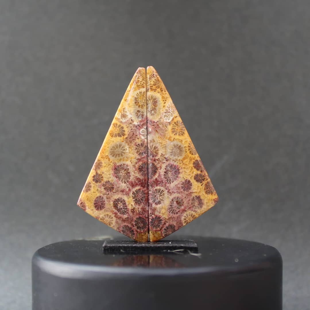 Joe90277334's tweet image. Fossil coral pair
Available in my Esty shop
Esty my shop..JOEGEMSTONE
#FOSSILCORAL