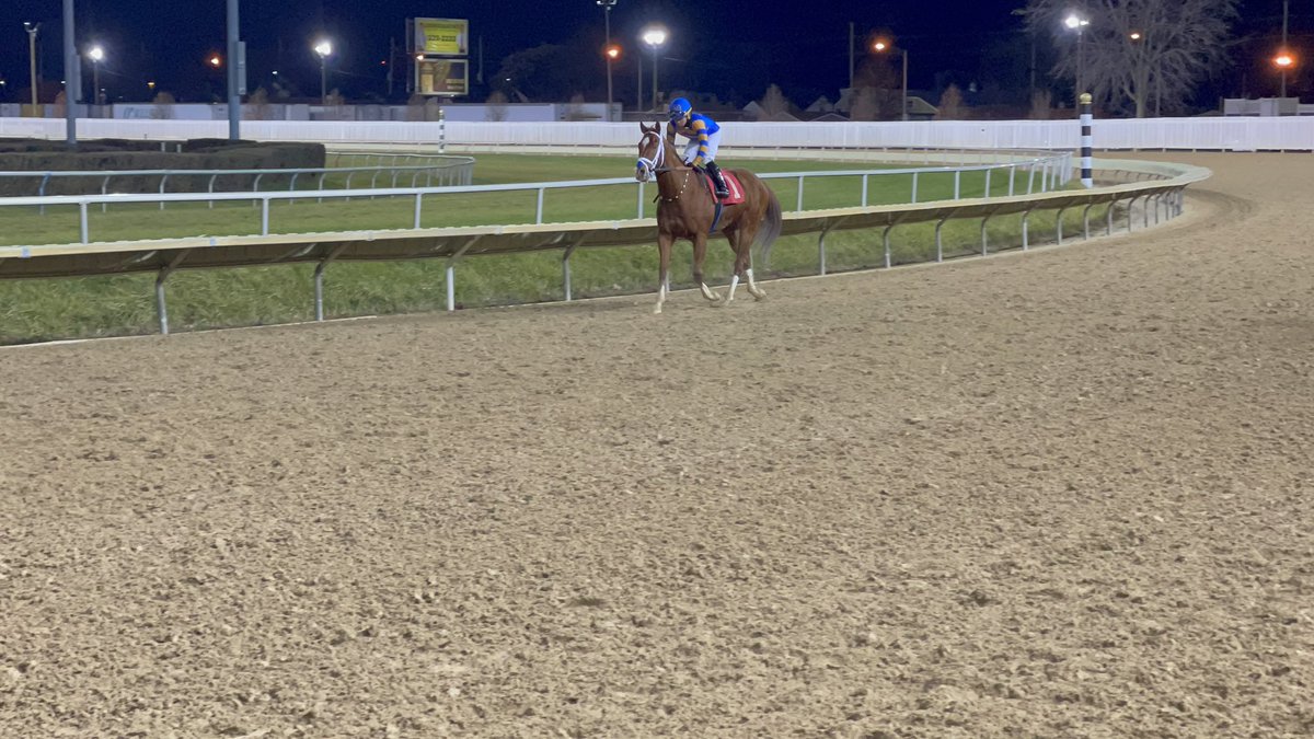 AHernandez_87's tweet photo. Easter Music to make it our 3rd for the meet, as always super thankful and happy for another win. Proud of this lil man #hernandezracingstable #hernandezbrothers #speedsilks #flairstrips #nodaysoff #thankful #blessed #hawthorneracecourse @FLAIRstrips @SpeedSilks https://t.co/X6QYq7DNXj