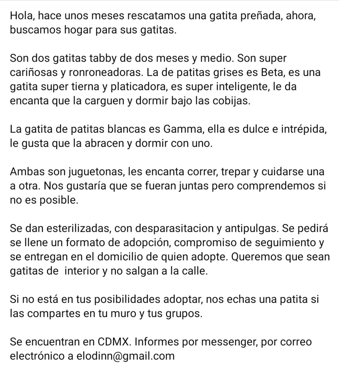 Elodinn1's tweet photo. @MascotasSismo @LordGatus @LetyVarela @BJAlcaldia @Narvarte_DValle @Narvarte_ @ColDelValleBJ https://t.co/sZT7nvyg4v